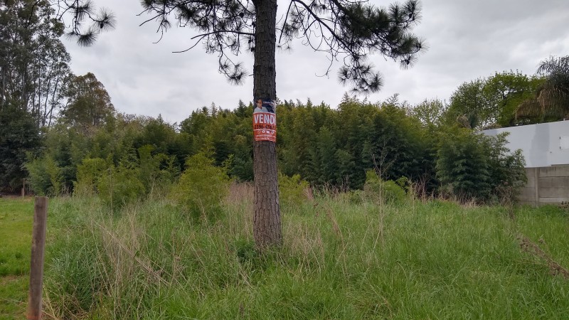 Terreno en venta 